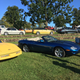 Radnor Hunt Concours 2017